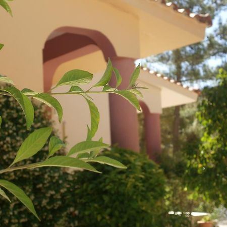 Kefallonia Bay Resort Спартия Экстерьер фото